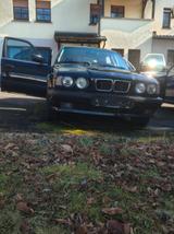 BMW 525tds touring Kat 525tds - BMW 525: 525td