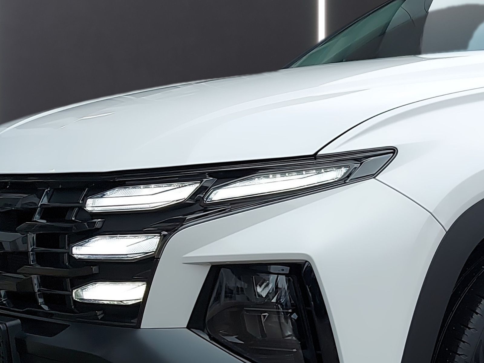 Fahrzeugabbildung Hyundai Tucson Hybrid 215 PS Trend 2WD Navi el. Heckkl.