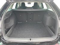 Skoda Octavia - Vorschau Bild 7