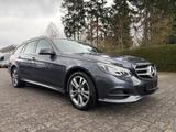 Mercedes-Benz E 250 E T-Modell BlueTec - Mercedes-Benz E 250 mit Diesel-Antrieb: Kombi