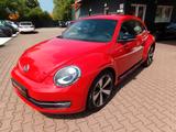 Volkswagen Beetle Lim. Sport, Fender Edition, Leder , Xenon - Volkswagen Beetle: Rot