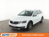 Skoda Octavia 1.8 TSI Scout 4x4 Aut.*NAVI*CAM*SHZ* - Skoda Octavia: Allradantrieb, Scout