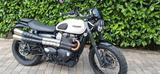 Triumph street scrambler 900 Top Zustand - TRIUMPH STREET SCRAMBLER