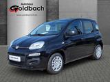 Fiat Panda MY25 1.0*Klima|Tempomat|Bluetooth|PDC* - Fiat Panda Tageszulassungen mit Benzin-Antrieb