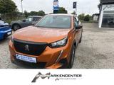 Peugeot 2008 Active Pack PDC SHZ - Peugeot 2008 in Hamm