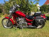 Suzuki VS 800 Intruder  (VS 52 A) - SUZUKI VS 800 INTRUDER