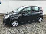 Fiat Panda MY24 1.0 GSE Hybrid Klimaanlage - Fiat Panda Gebrauchtwagen in Aachen