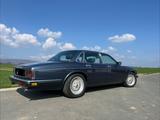 Jaguar XJ12 / XJ81 sehr seltenes Fahrzeug - Jaguar aus 1993