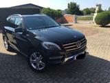 Mercedes-Benz ML 350 BlueTEC 4MATIC - - gebrauchte Mercedes-Benz ML 350 aus dem Jahr 2014