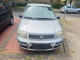 Fiat Panda Klima 1,3 Liter sauber Zustand - Fiat: Sa