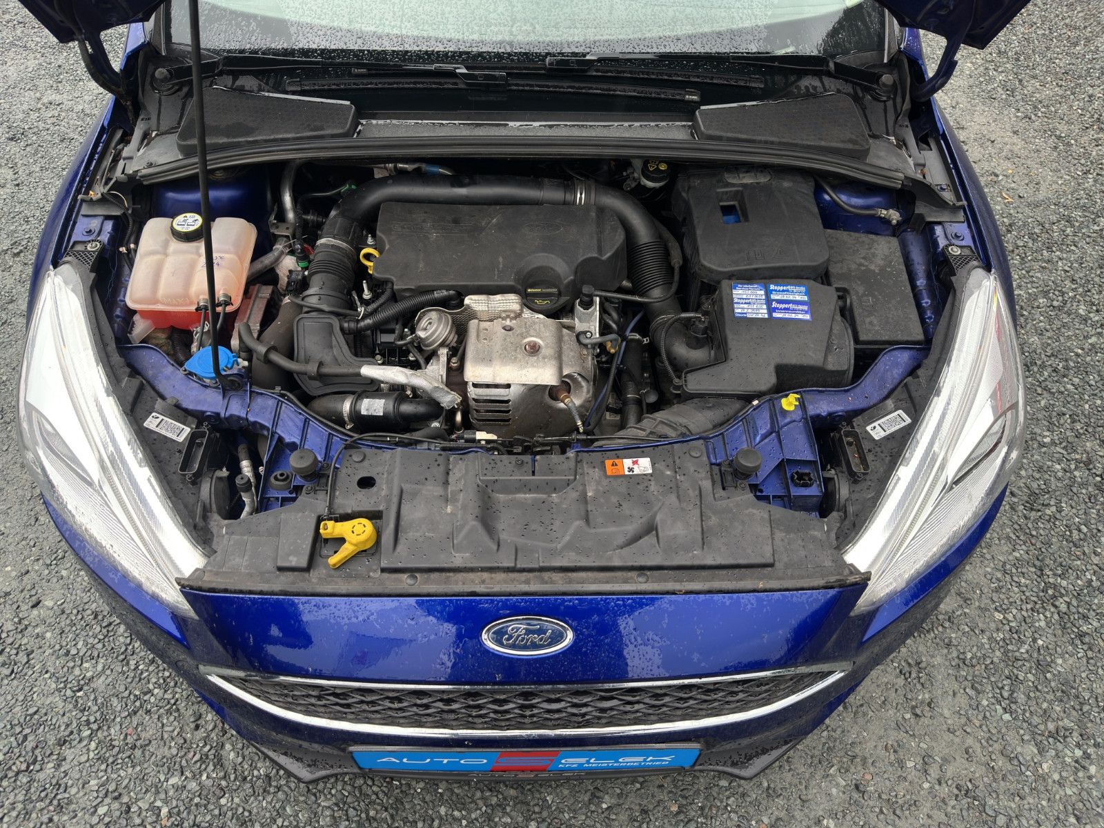 Fahrzeugabbildung Ford Focus Lim. Trend