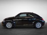 Volkswagen Beetle 1.2 TSI Design Navi PDC Bi-Xenon Klima Al - gebrauchte VW Beetle aus dem Jahr 2015