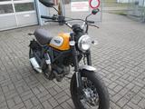 Ducati Scrambler 800 Icon / ABS / Garantie - DUCATI SCRAMBLER