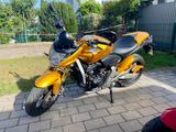 Honda Cbr 600 Hornet  - Offers
