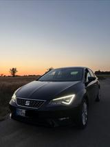 Seat Leon 1.4 TSI 92kW Start&Stop Xcellence Xcellence - Seat Leon: 1.9