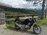 Honda CBF500 TÜV NEU,  neue Batterie  - Angebote entsprechen deinen Suchkriterien