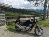 Honda CBF500 - Offers matching your search criteria