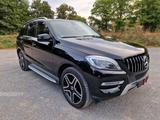 Mercedes-Benz ML 350 BlueTEC 4M *AMG Styling*AHK*Schiebed*Kam* - Mercedes-Benz ML-Klasse von privat