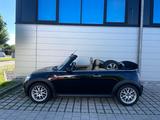 MINI Cooper Cabrio Leder/Klima/ - MINI Cooper Cabrio mit Panoramadach