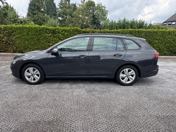 Volkswagen Golf - 8
