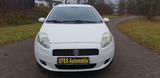 Fiat Punto 1.4 8V Active  Top Zustand 1.Hand - Fiat Punto Gebrauchtwagen in Augsburg