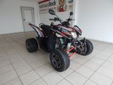 Aeon Cobra 424 SM EFI Euro 5 / Frühjahrs-Angebot - AEON COBRA