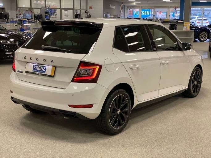 Fahrzeugabbildung SKODA Fabia 1.0 TSI MONTE CARLO+voll LED+16"ALU+KESSY