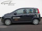 Fiat Panda Pandina Cross - Fiat Panda mit Hybrid-Antrieb