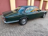 Jaguar XJ12  - mit H-Kennzeichen - Jaguar XJ12: Limousine