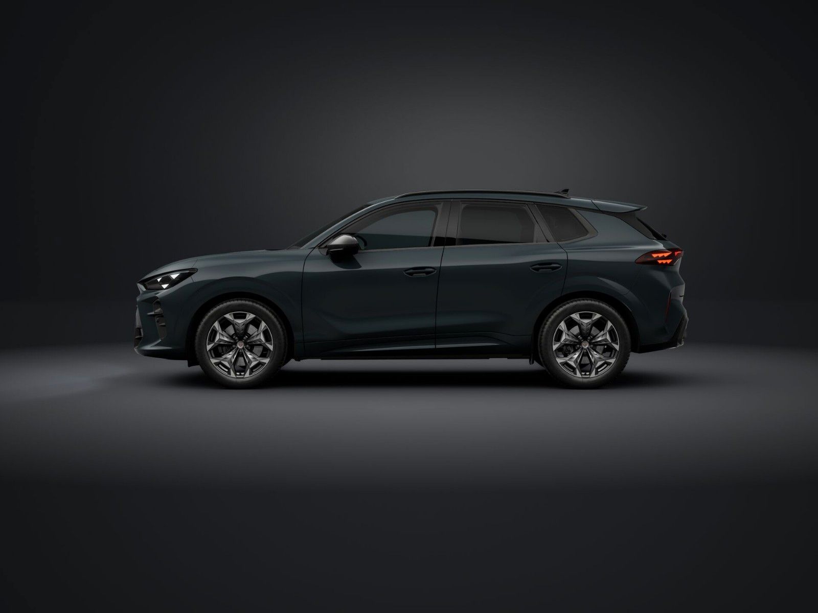 Cupra Terramar - Bild 3