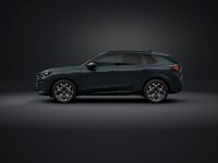 Cupra Terramar - Vorschau Bild 3