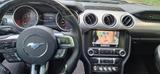 Ford Mustang 5.0 GT Shelby GT350 optik - Ford Mustang: Schwarz, Shelby