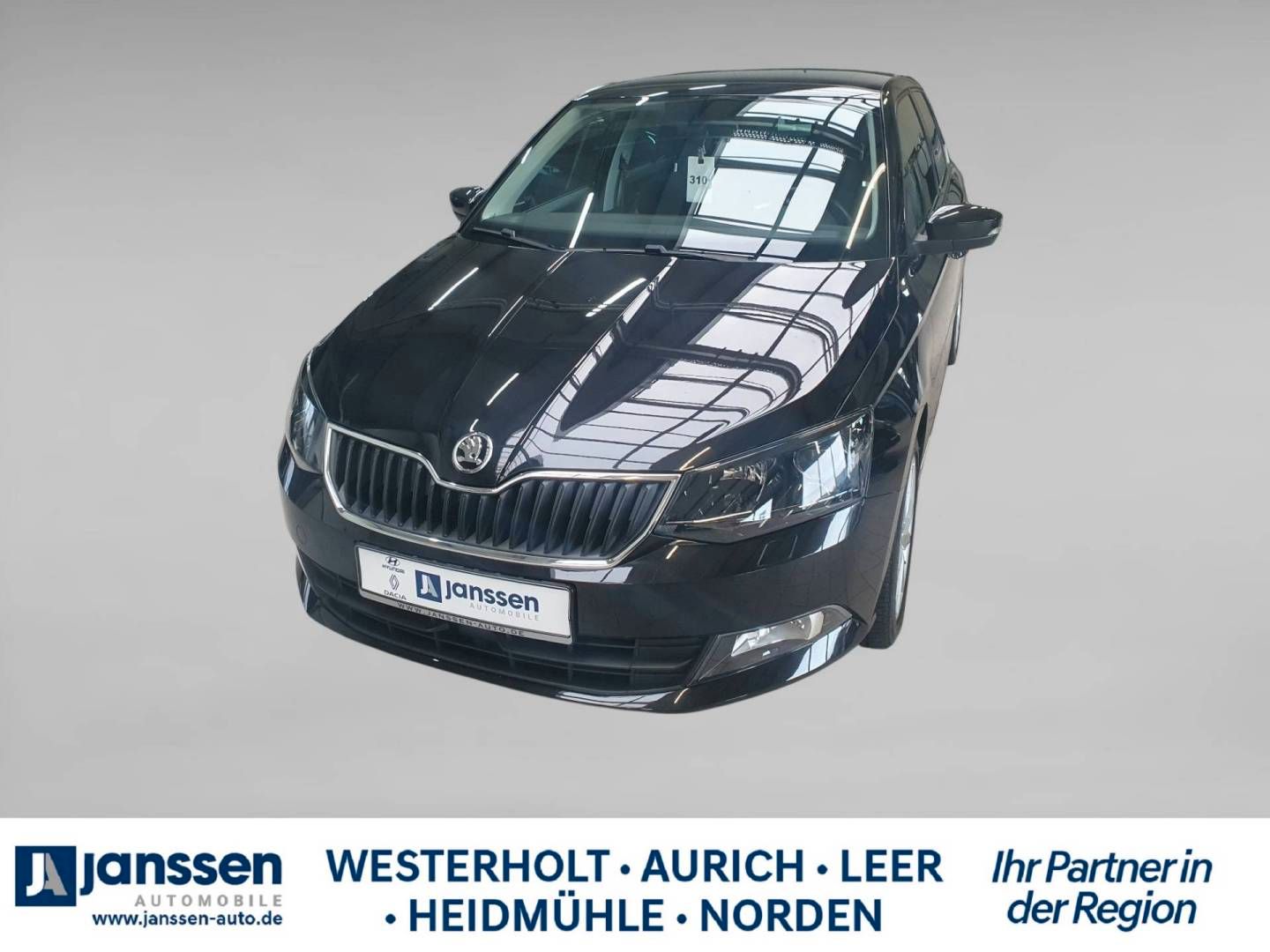 Fahrzeugabbildung SKODA Fabia Joy