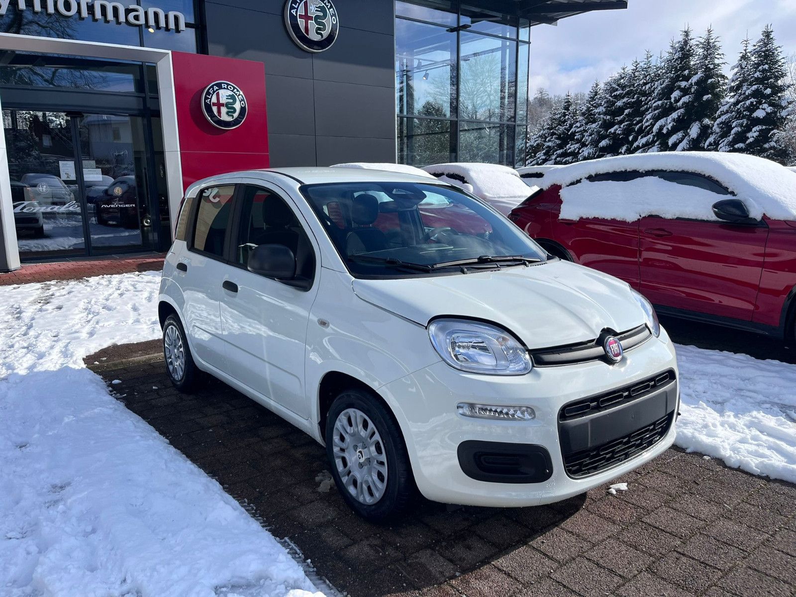 Fahrzeugabbildung Fiat Panda