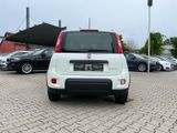 Fiat New Panda City Life 1.0 *Klima Alu NS DAB+* - Fiat New Panda Gebrauchtwagen