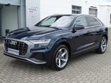 Audi Q8 50 TDI S Line Plus quattro / HD Matrix - Audi Q8 in Dresden