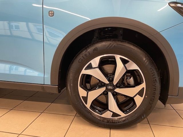 Fahrzeugabbildung Ford Tourneo Connect Active PANO Winterpaket AHK