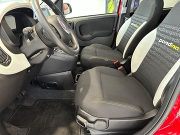 Bild 11 Fiat Panda Pandina Cross