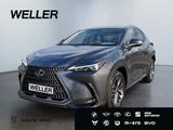 Lexus NX 450h+ E-FOUR Business *Bi-LED*360*Leder*4x SH - Lexus aus 2024: Nx