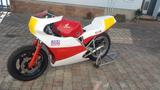 Honda VF 500 Rennmaschine - HONDA VF 500