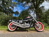 Harley-Davidson Harley Dyna Street Bob (BJ 2009) viele Umbauten - HARLEY-DAVIDSON STREET BOB UMBAU