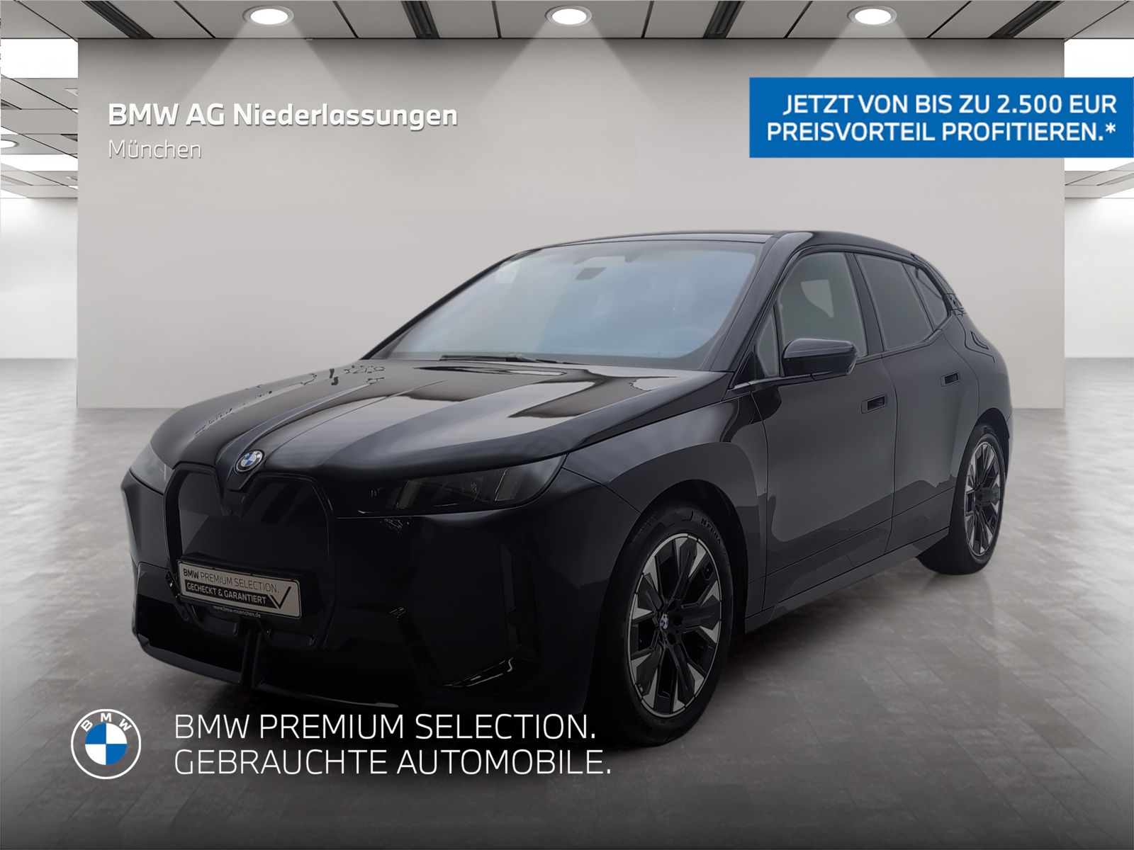 BMW iX xDrive60 M Sport AHK Driv.Assist.Prof Kamera