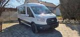 Ford Transit 2.0 TDCi 350 L3H2 Limited (9 Sitzer) - Ford Transit: Limited