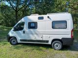Fiat Ducato  - Fiat Teilintegrierter