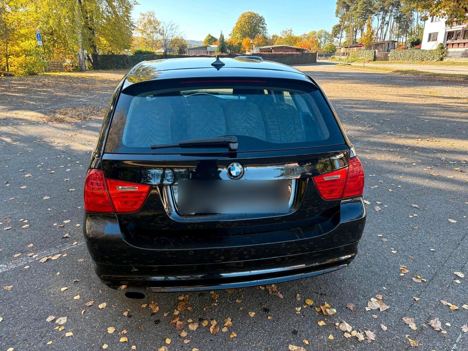 BMW 318 2010 — interior