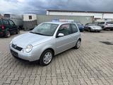 Volkswagen Lupo 1.4 44kW Basis,EURO 4,Tüv jan 2027 - Volkswagen Lupo: Basis