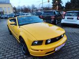 Ford Mustang GT 4.6 V8 Cabrio SPORT-PK*LEDER*TOP! - Ford Mustang: V6
