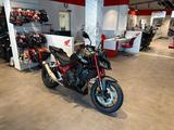 Honda CB750 Hornet 2026 Black *sofort verfügbar* - NAKED BIKE VON 501 BIS 750 CCM