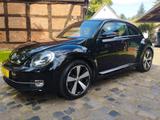 Volkswagen Beetle Design, Topzustand, GJR, St.-Kette neu - VW Beetle Gebrauchtwagen in Bremen