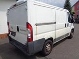 Fiat Ducato Kasten 28 115 - Fiat Ducato mit Diesel-Antrieb: Kombi